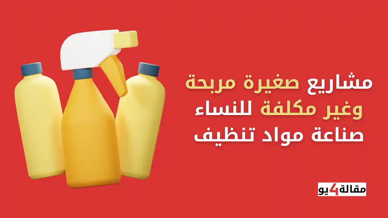 مشاريع صغيرة مربحة وغير مكلفة للنساء صناعة مواد تنظيف