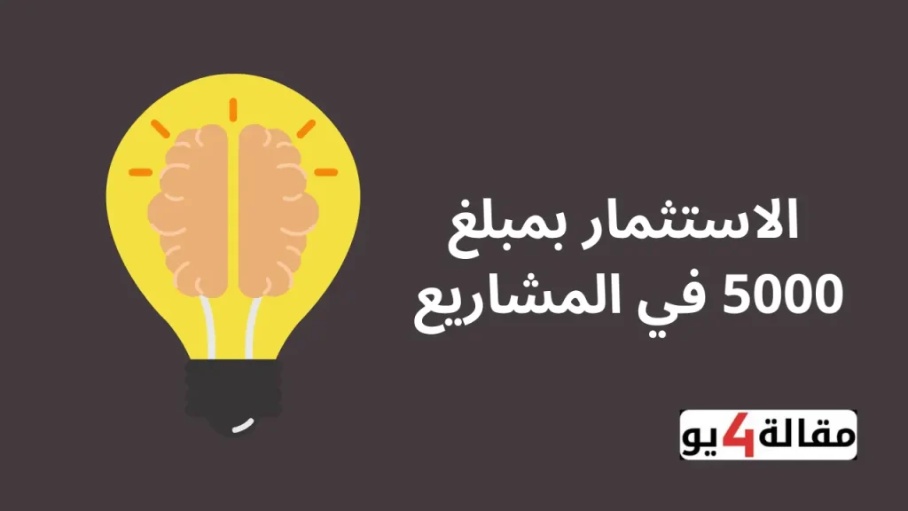 الاستثمار بمبلغ 5000 في المشاريع