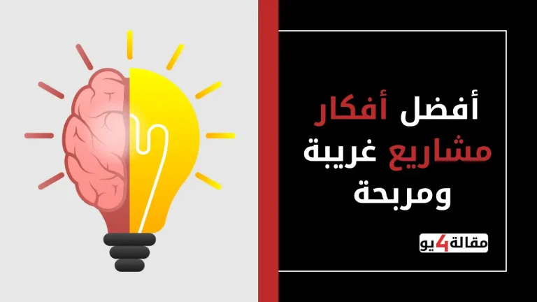 أفضل أفكار مشاريع غريبة ومربحة