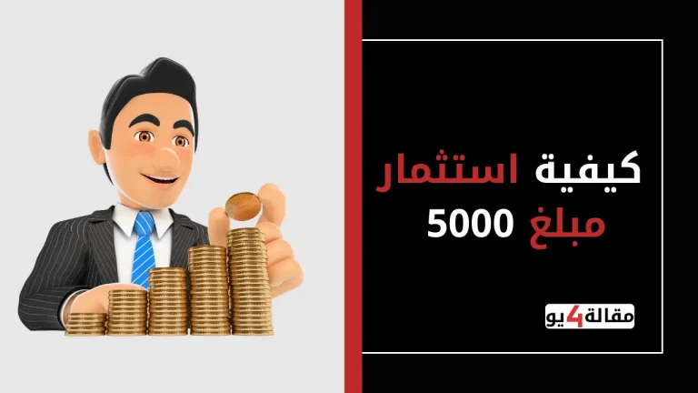 كيفية استثمار مبلغ 5000