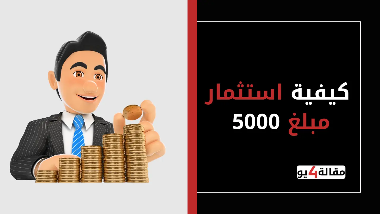 كيفية استثمار مبلغ 5000
