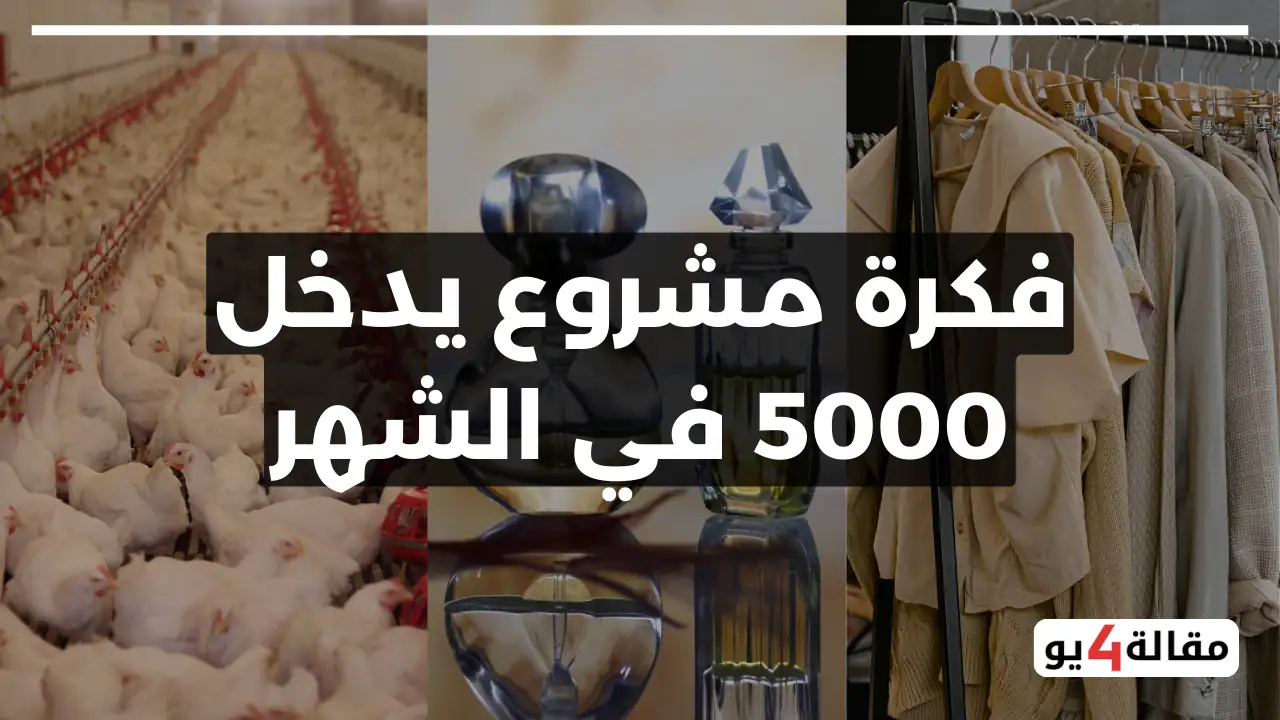 مشروع يدخل 5000 في الشهر