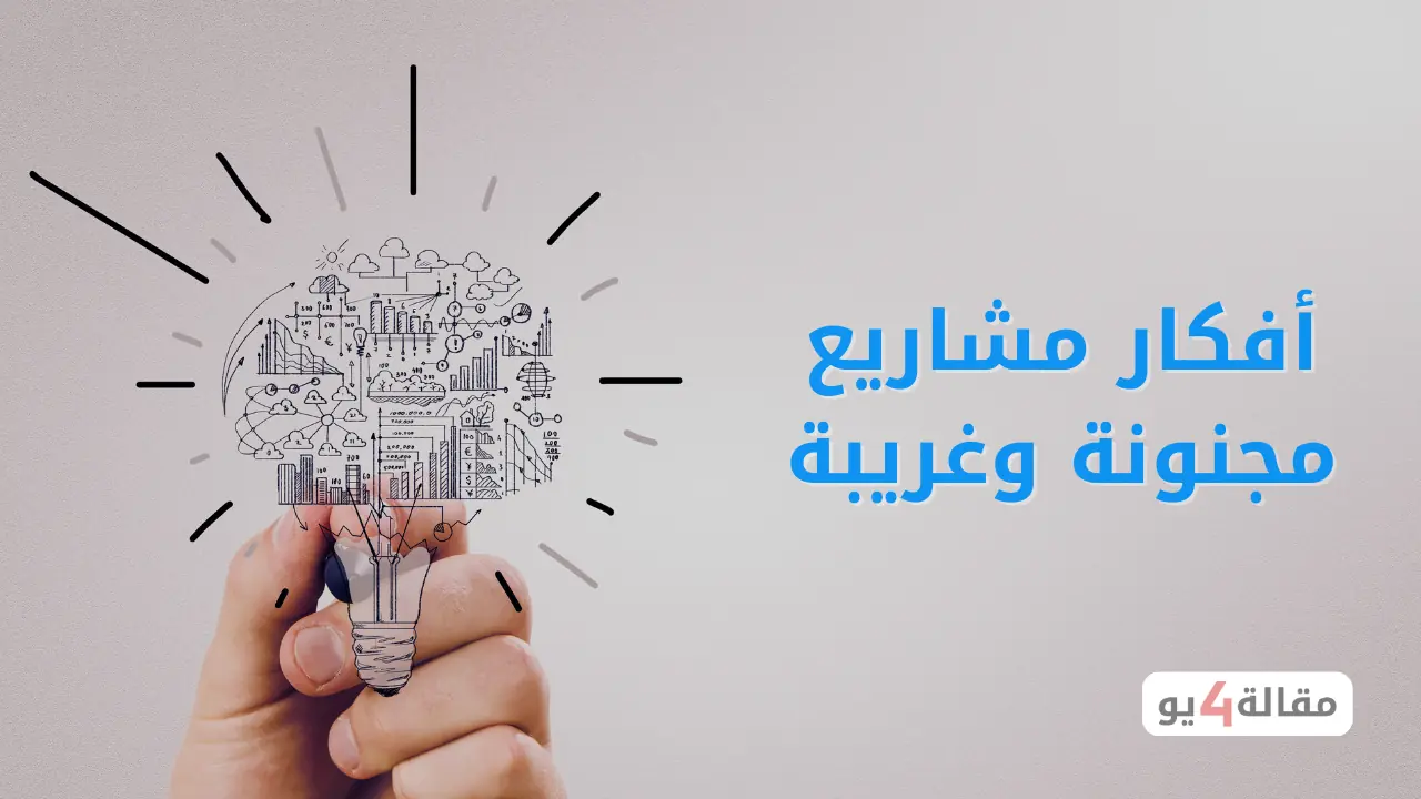 أفكار مشاريع مجنونة وغريبة