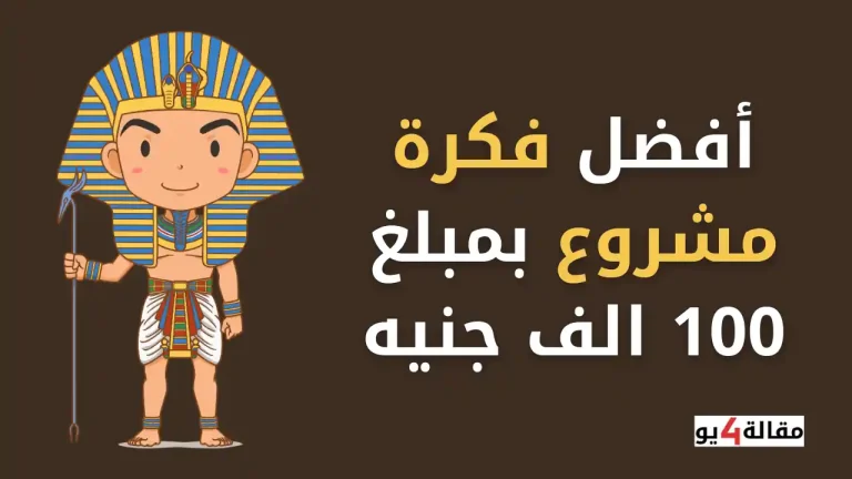 أفضل فكرة مشروع بمبلغ 100 الف جنيه