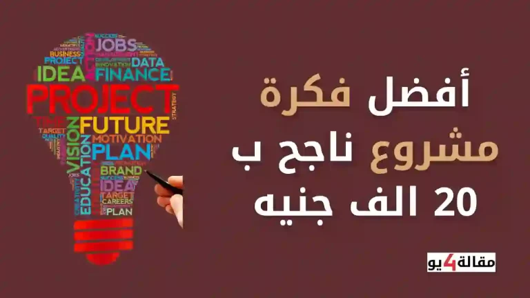 أفضل فكرة مشروع ناجح ب 20 الف جنيه