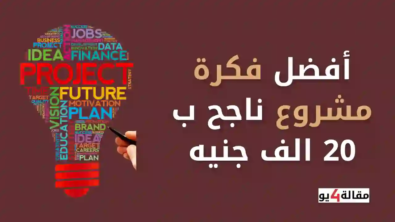 أفضل فكرة مشروع ناجح ب 20 الف جنيه