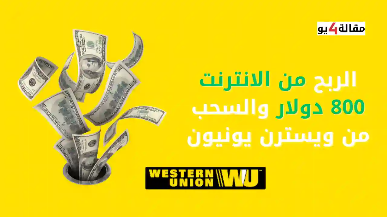 الربح من الانترنت 800 دولار والسحب من ويسترن يونيون